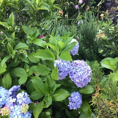 Casa de hóspedes Giuliano