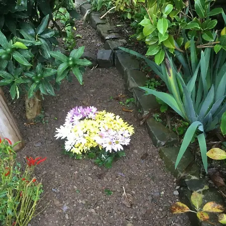 Giuliano Casa de hóspedes Vernazza