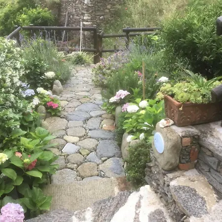 Giuliano Vernazza