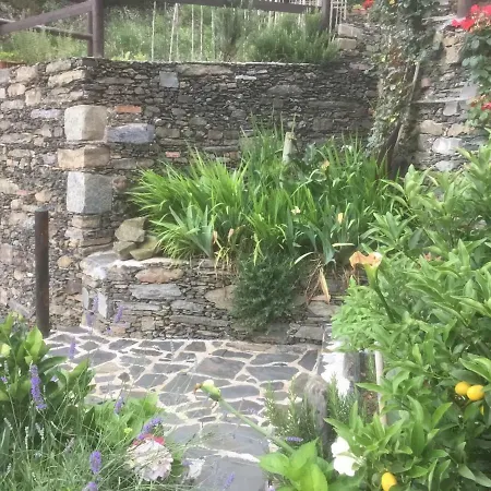 Giuliano 3* Vernazza