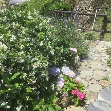 Giuliano 3* Vernazza