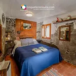 Giuliano 3*