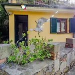 Giuliano Affittacamere