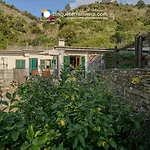 Giuliano