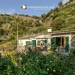 Affittacamere Giuliano