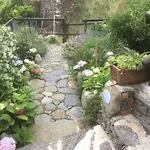 Giuliano Vernazza