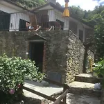 Giuliano 3*