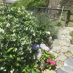 Giuliano 3* Vernazza