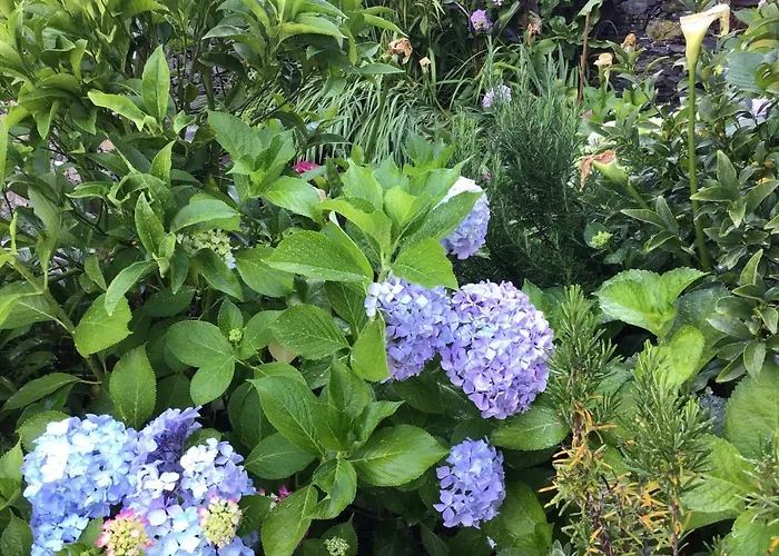 Гостевой дом Giuliano