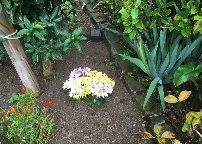 Giuliano 게스트하우스 베르나차