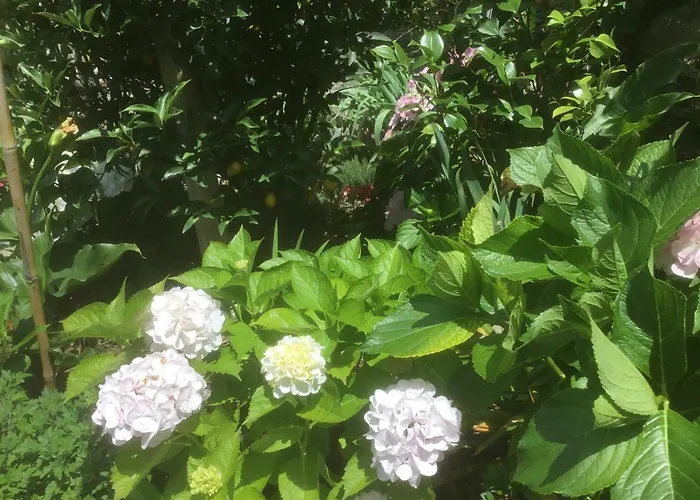 게스트하우스 Giuliano 베르나차