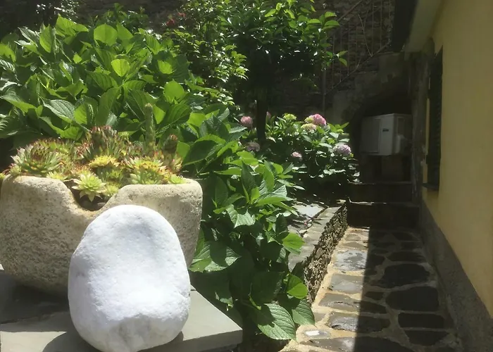 Giuliano 게스트하우스