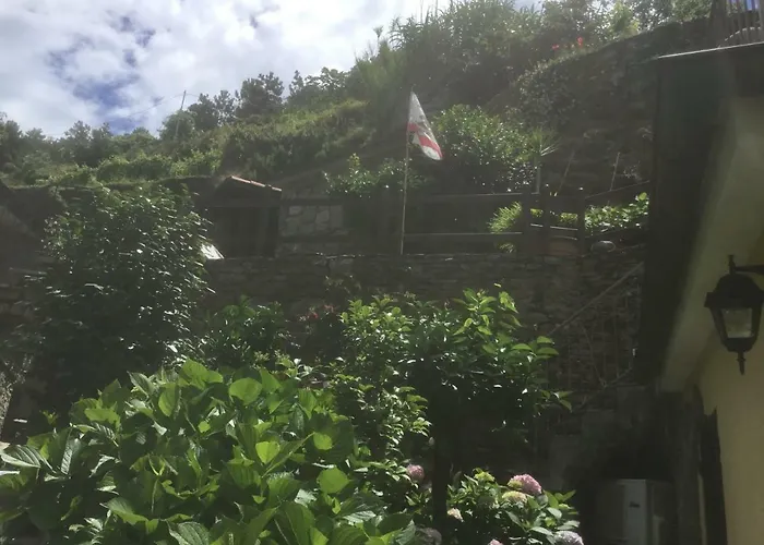 Giuliano 베르나차